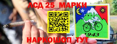 индика Бердск