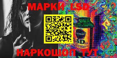 индика Бердск