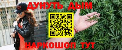 индика Бердск
