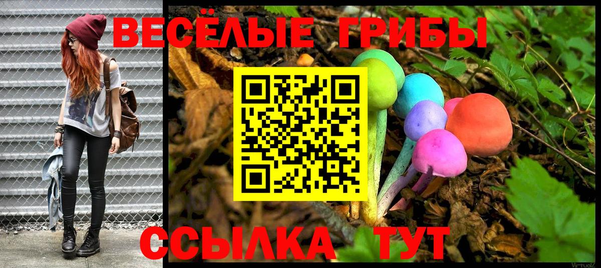 Псилоцибиновые грибы MAGIC MUSHROOMS Губкин